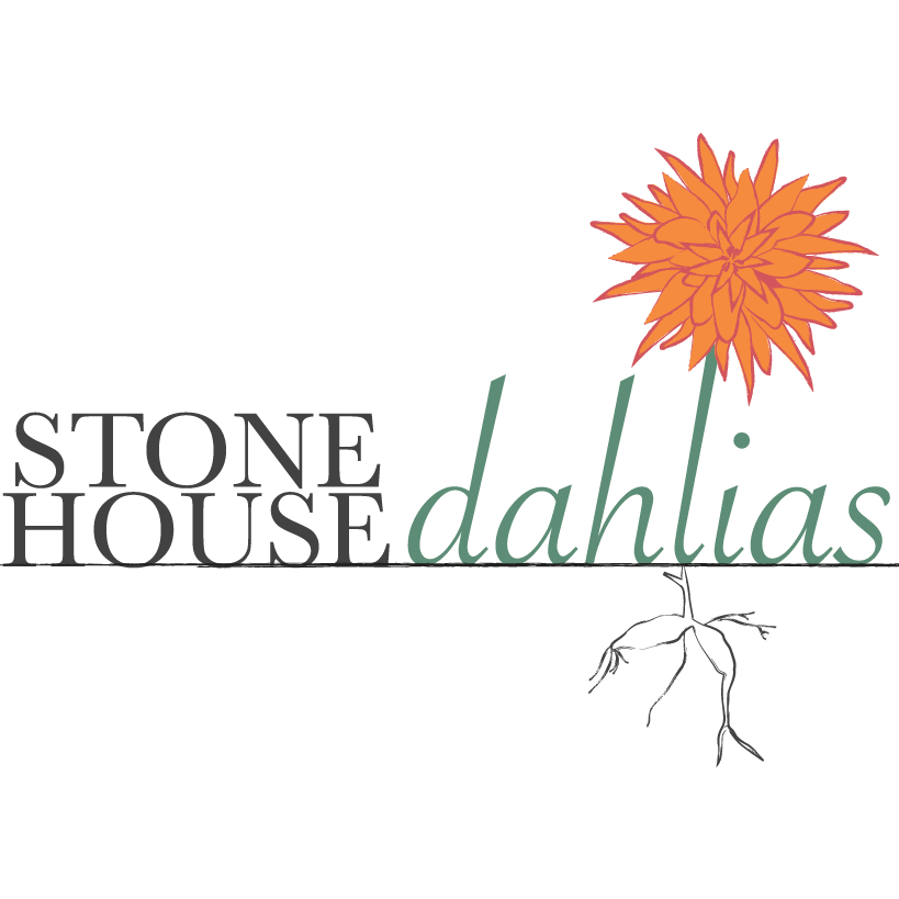 Stonehouse Dahlias - Gift Card