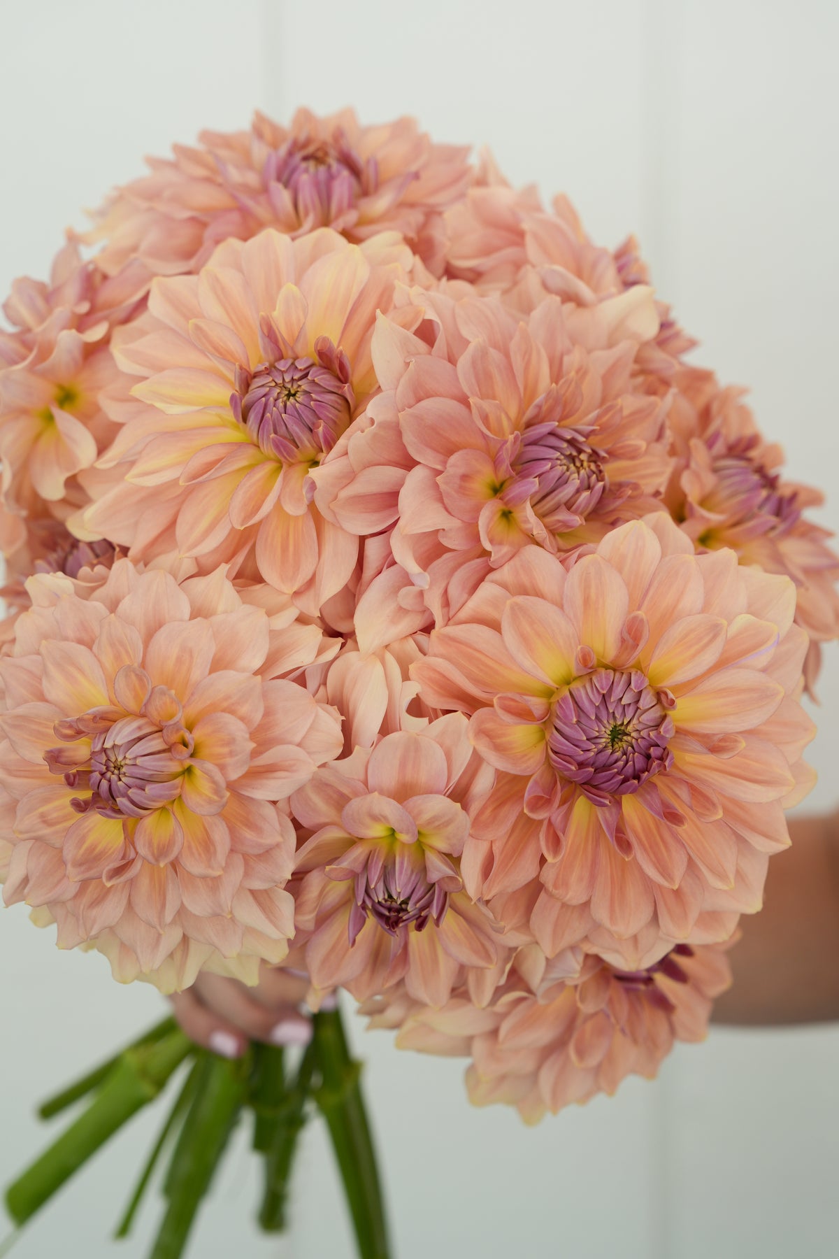 RM Honey Blush