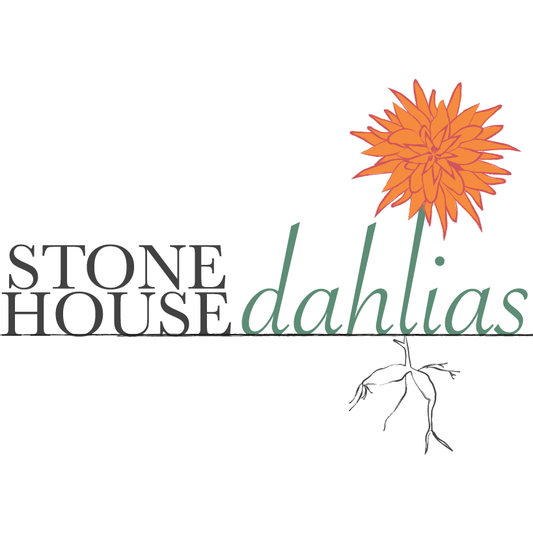 Stonehouse Dahlias - Gift Card